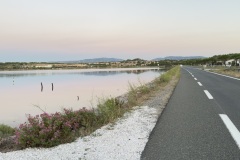 IMG_8286