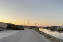 IMG_8293