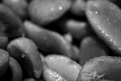 IMG_7102